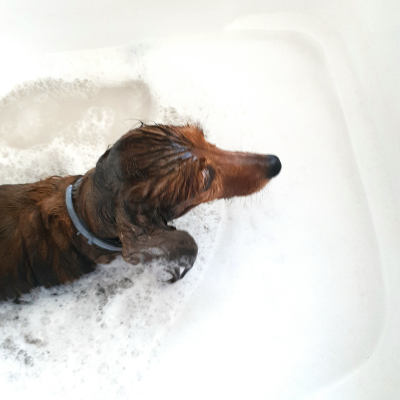 [Image: 20210921-105724.jpg]