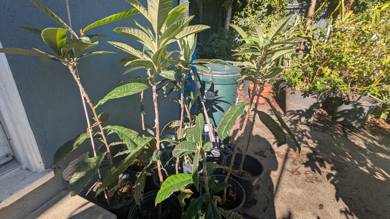 PXL_20251015_165351801