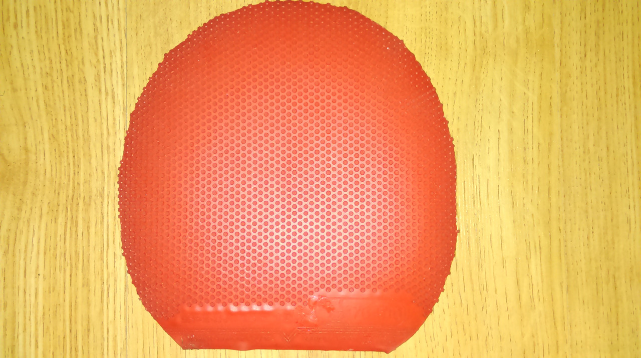 IMAG0346