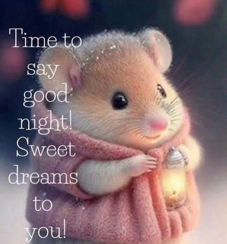 Mouse-Good-Night-Time-Sweet-Dreams-PAULA