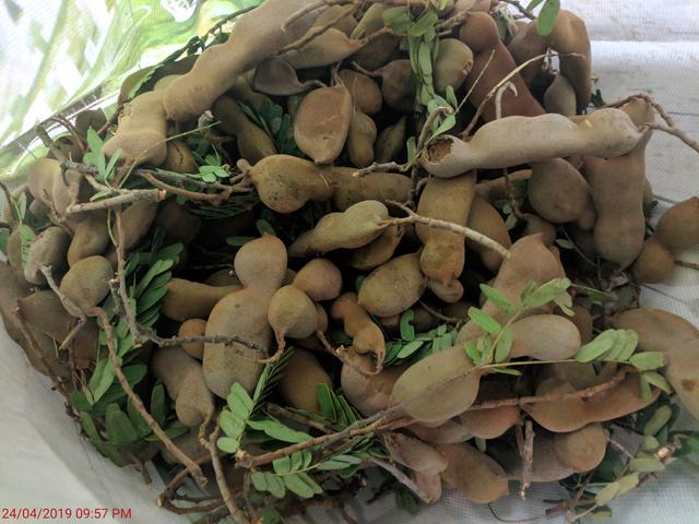 [Image: IMG-20190424-215750.jpg]