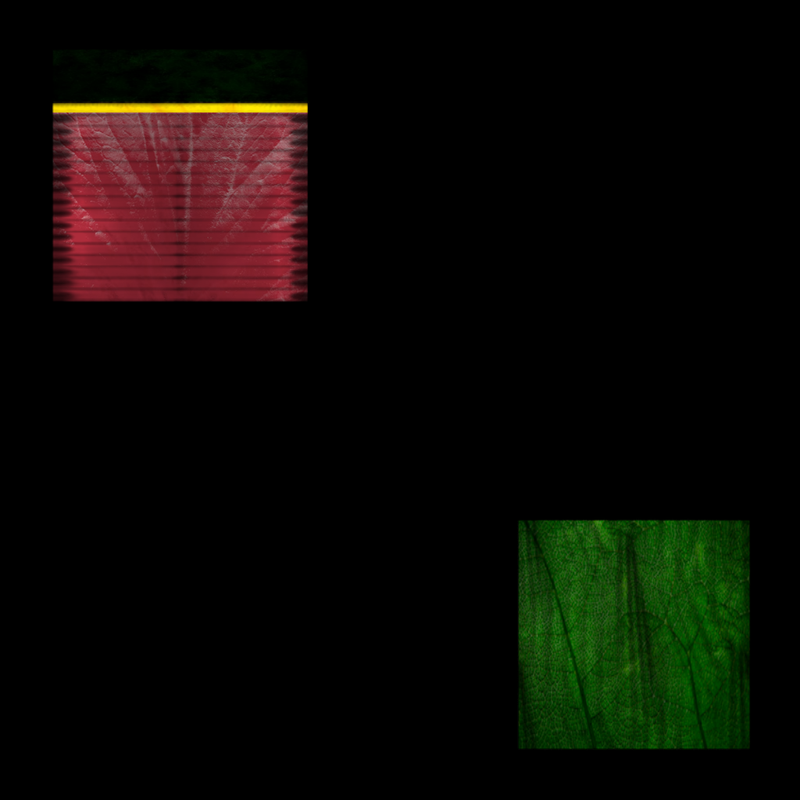 Fantasy Huge Flower 4
