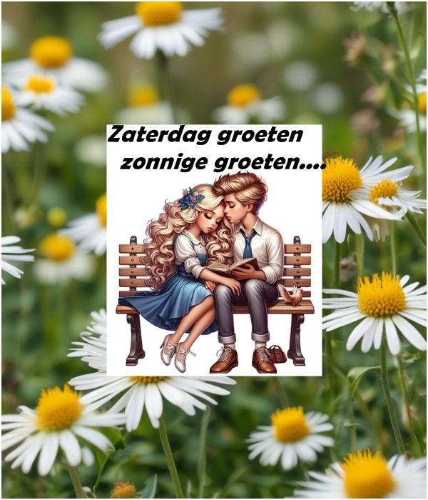 welkom op Krikkie