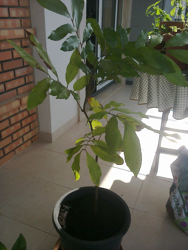 foto0188