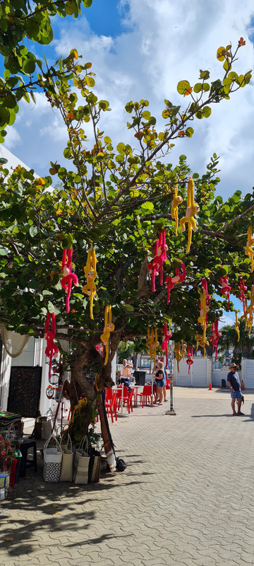 Isla Mujeres e Isla Contoy, un regalo de la naturaleza - Riviera Maya en Navidad (8)