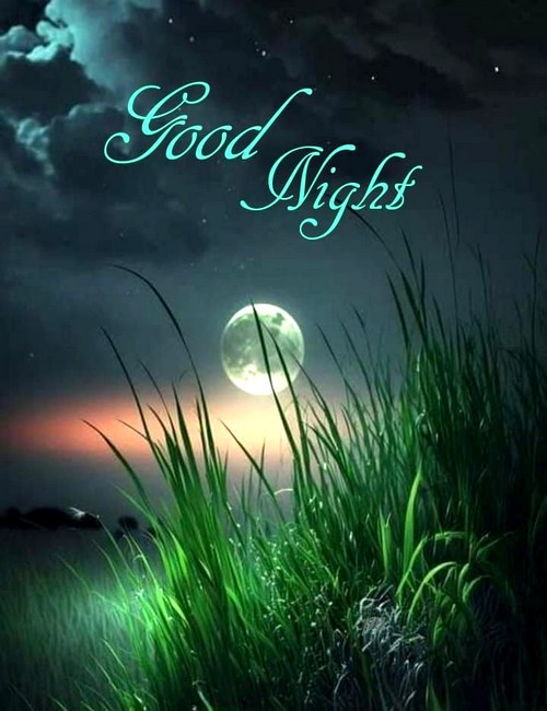 f787b12558f4378a7bcf9f9a02cc16f4