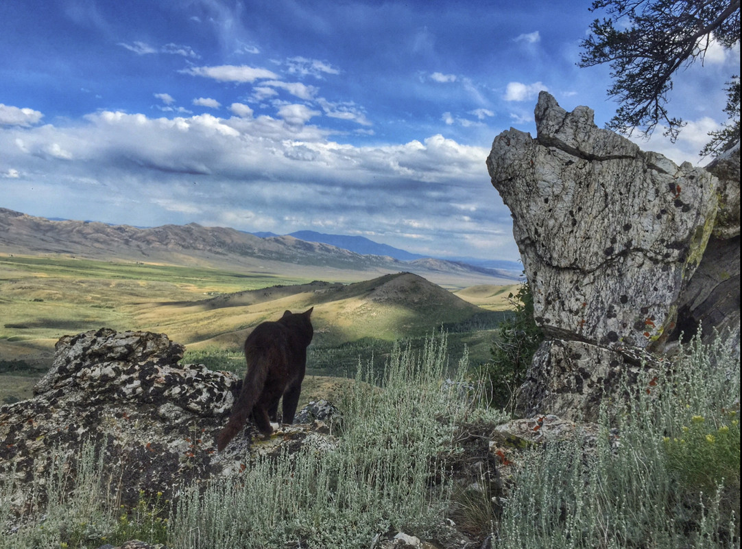 80F01FEC-9845-4E7D-A525-473309B4D68B