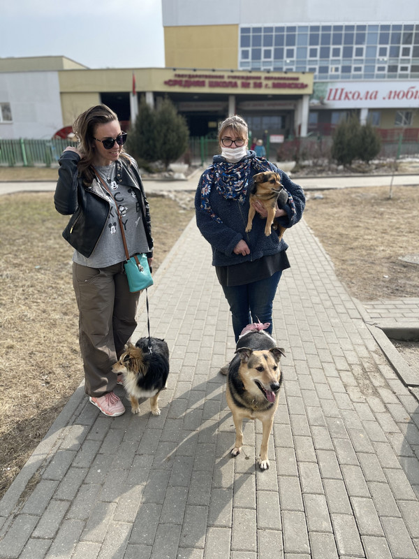 C9D4A553-73FA-4653-9177-466197777CF0