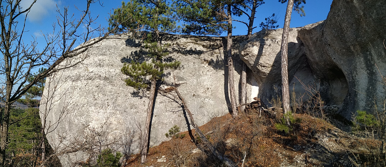 PANO_20211203_110349