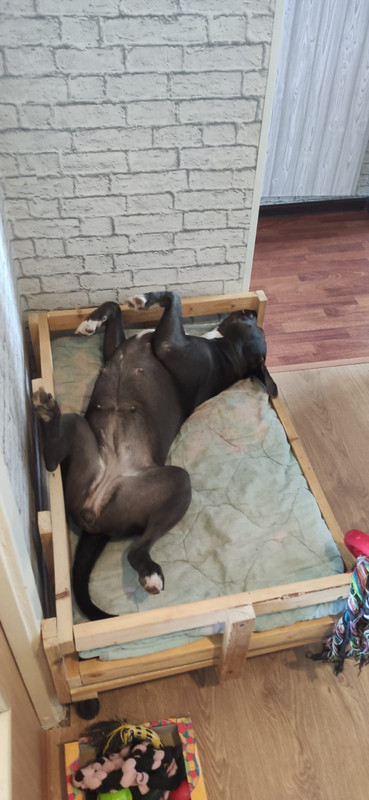 57E06E51-3EDD-4F26-8091-5B0218379251