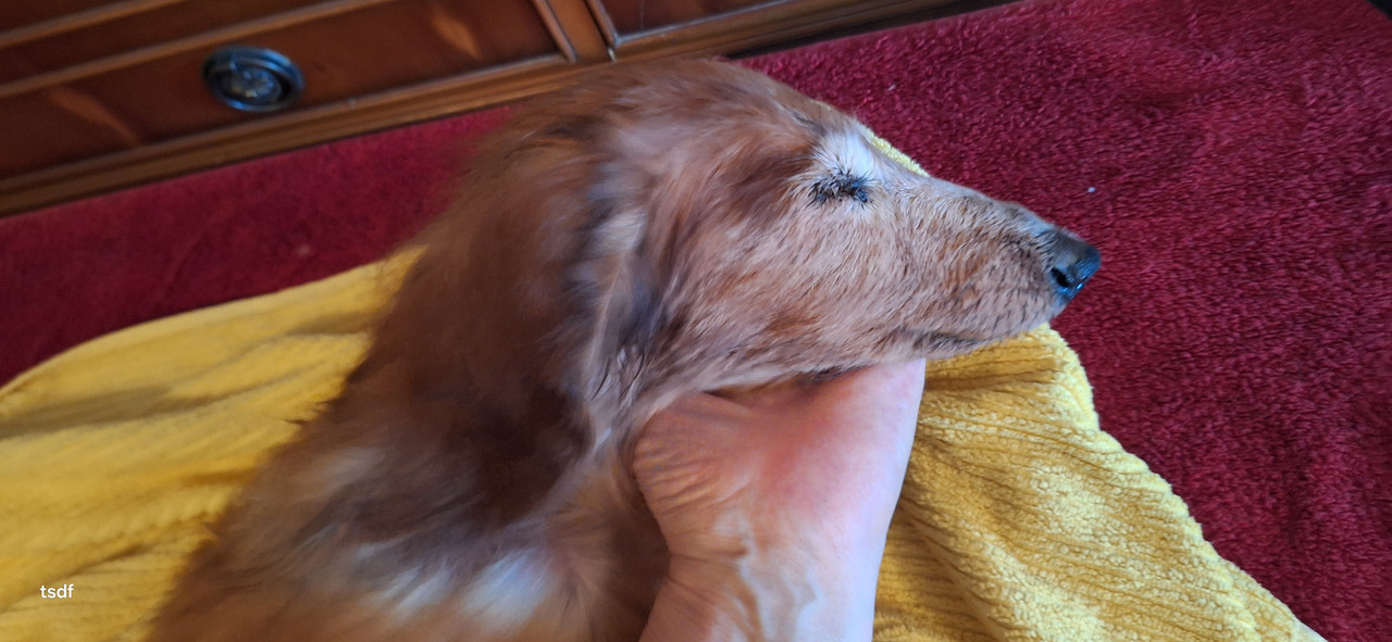 [Image: 20250719-100916.jpg]