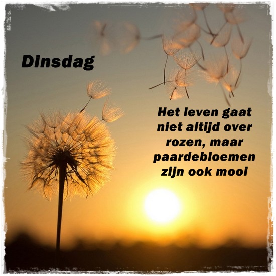 An den Beitrag angehängtes Bild: https://i.postimg.cc/pXJ2b6nZ/7gn69nlijxj-1.jpg