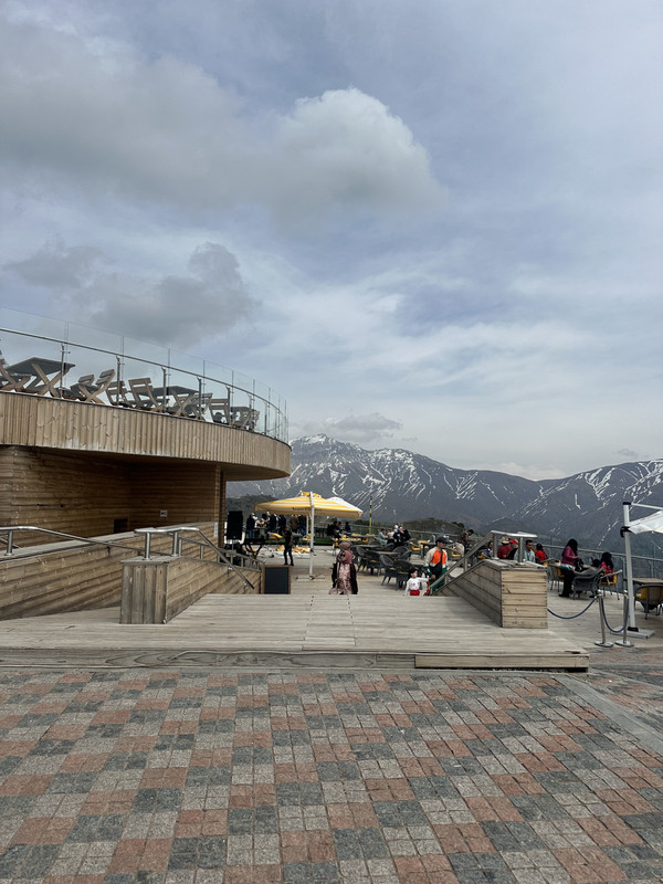 IMG-9814.jpg