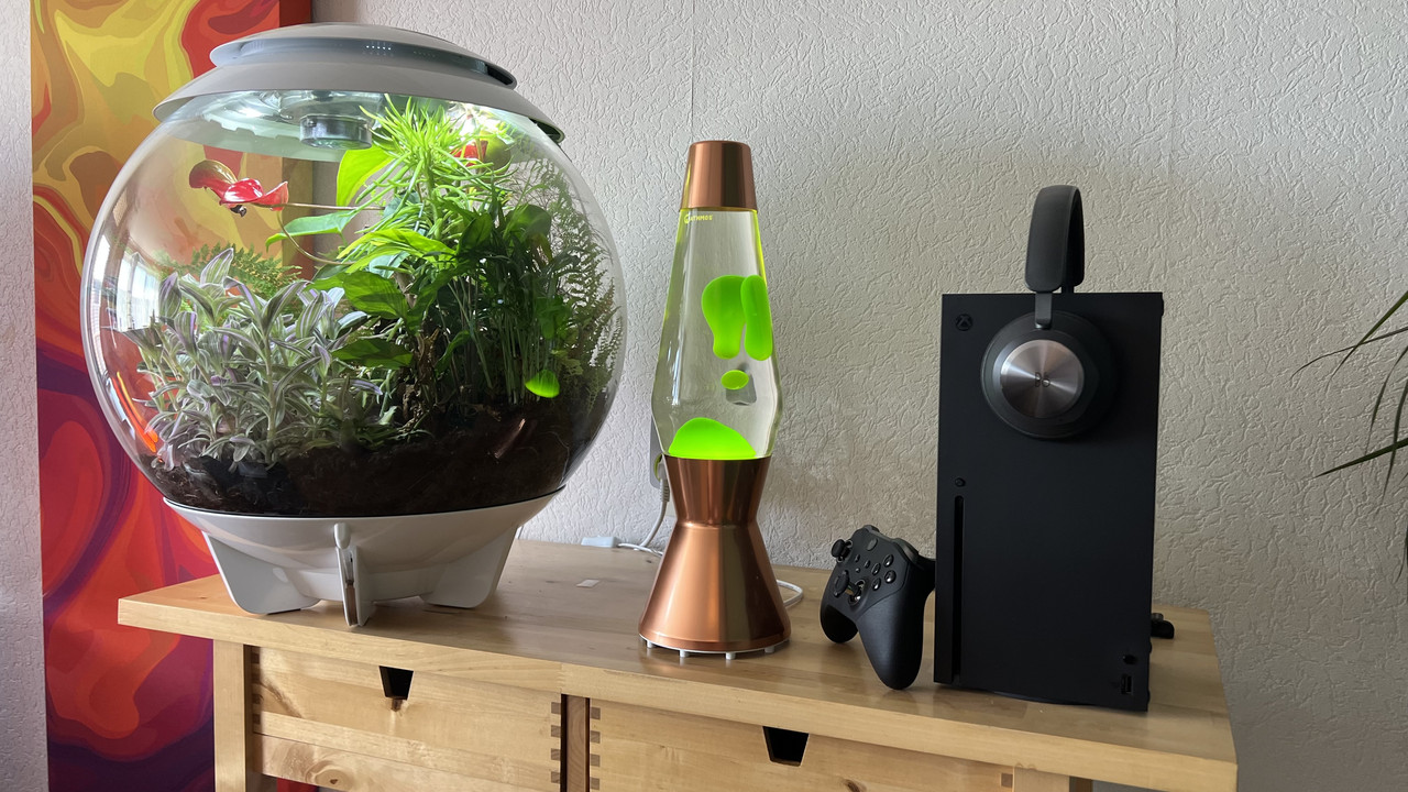 8733C24C-1143-4F07-ADF8-F9688E46D458