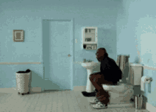 toilet-fly-away