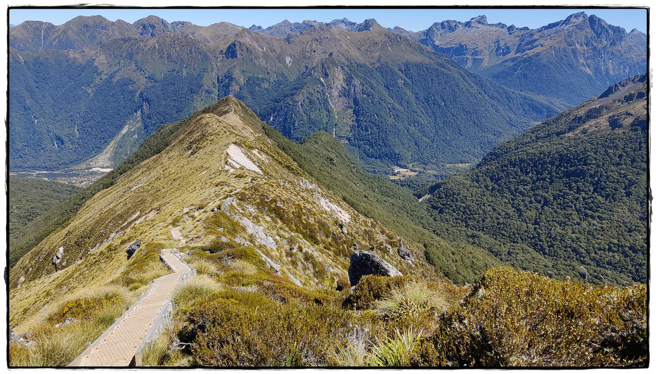 Fiordland NP: Kepler Track (febrero 2022) - Escapadas y rutas por la Nueva Zelanda menos conocida (38)