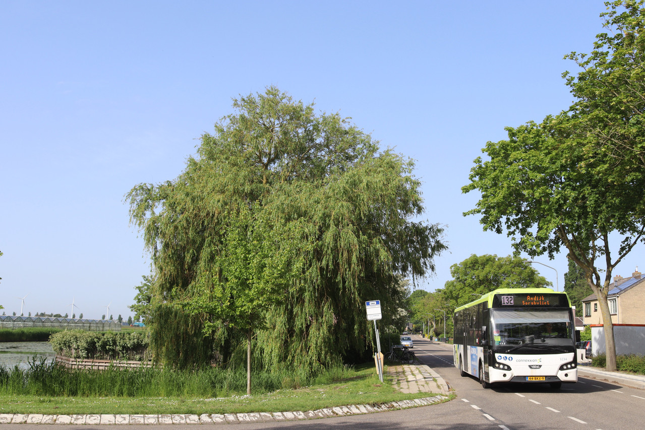 1euro NHN (2)
