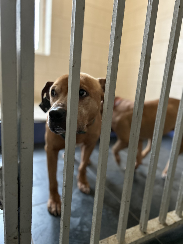 588FC5A6-44DF-42B5-BA8D-00A6E22D3BDD