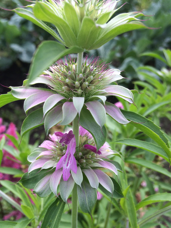 20A1B9D3-E8EE-4DED-8CBB-496E559761A4