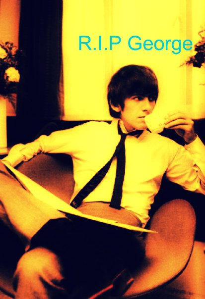 ���� ���� ������ �� ���� ������