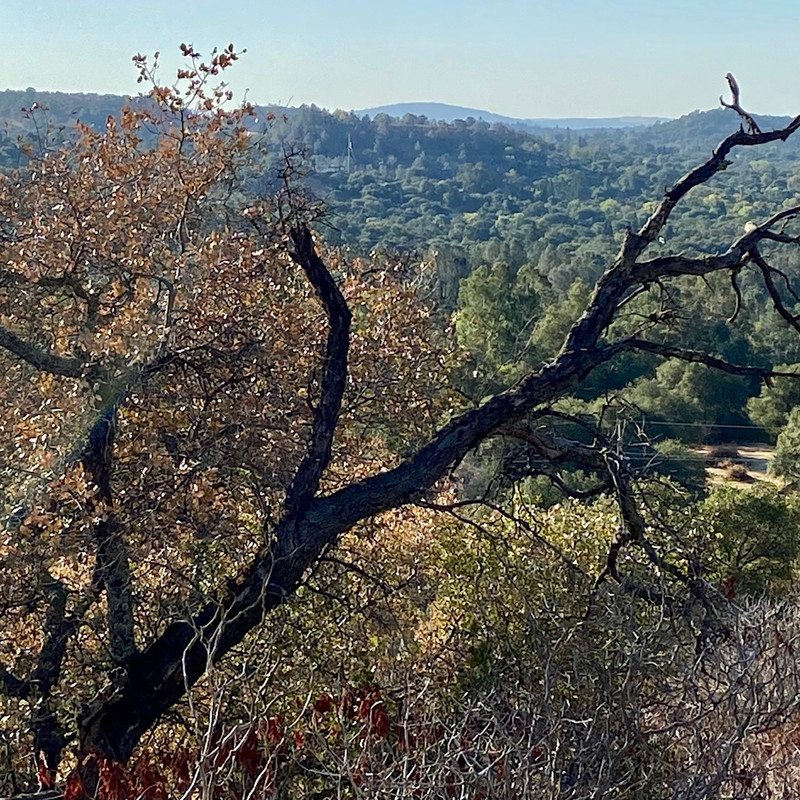 692A5C90-D680-4FAD-A2B4-5AAA8744C33C