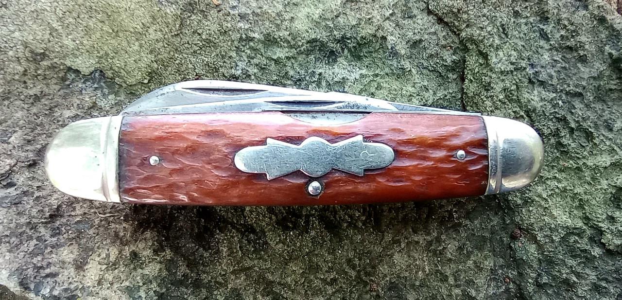 IMG_20240830_130800031 (1)