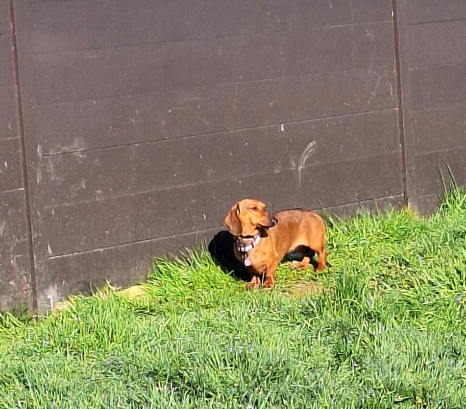 [Image: 20240311-094550.jpg]