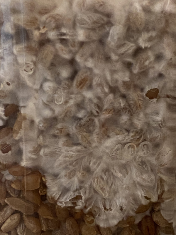 3672392A-EFD3-4828-A1B5-7342E0A71BDD