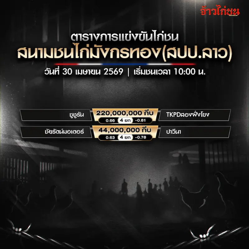 โปรแกรมไก่ชน สนามชนไก่มังกรทอง 30 เมษายน 2569 รูปหลักตารางแข่งขัน