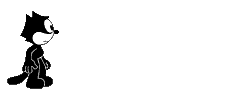 gato