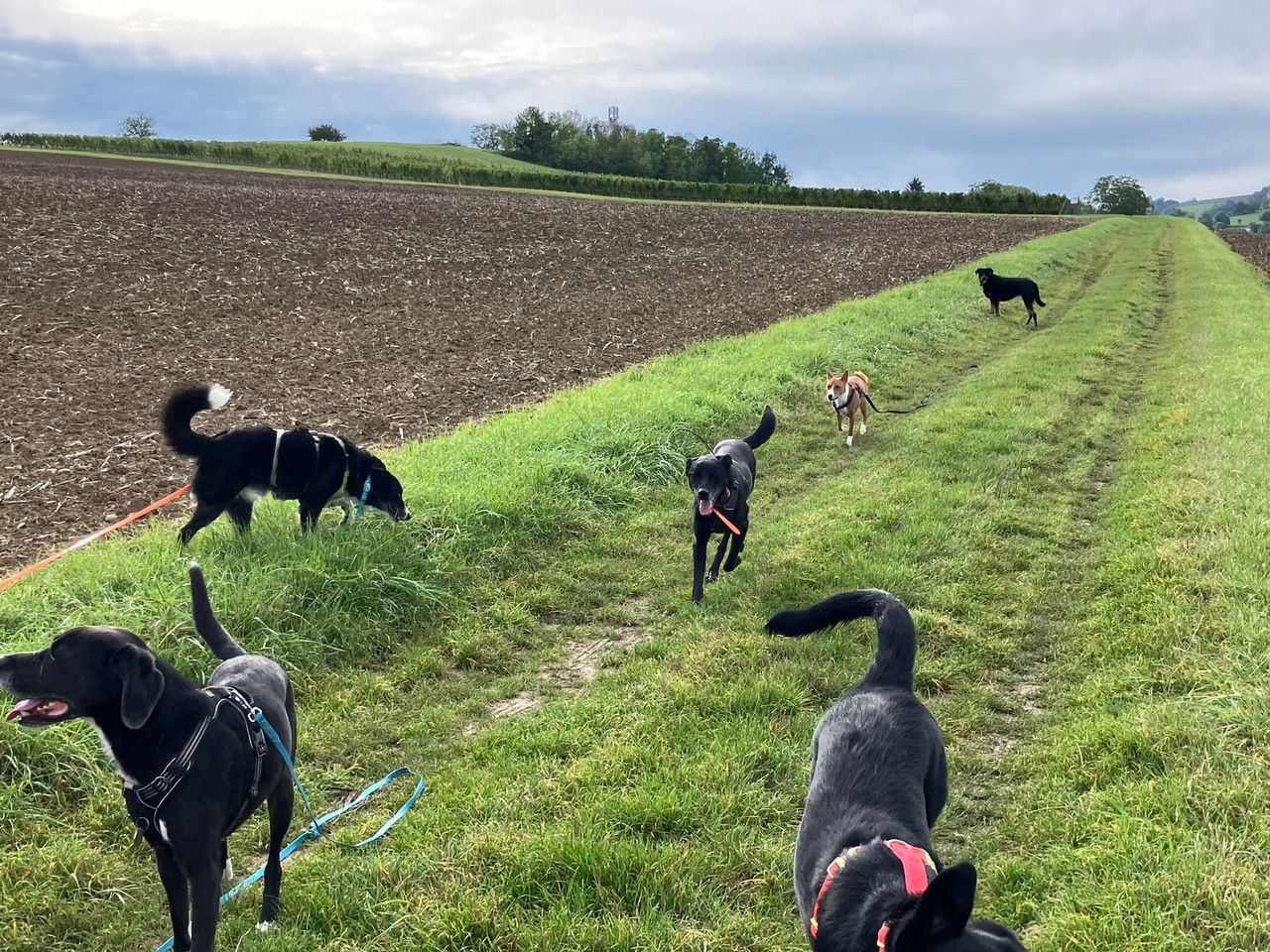 FB IMG 1759060532794