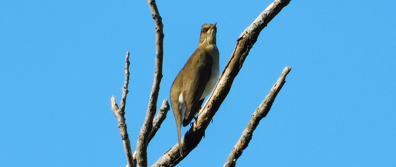 DSCN0043.jpg