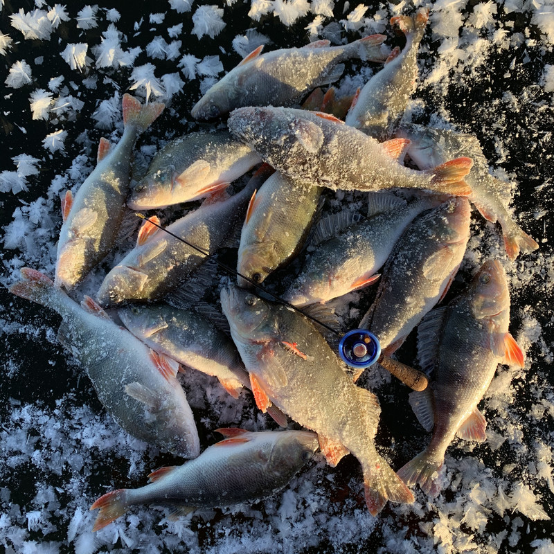 F31DB3E0-50D2-4CF1-9920-77F7738C0C5F