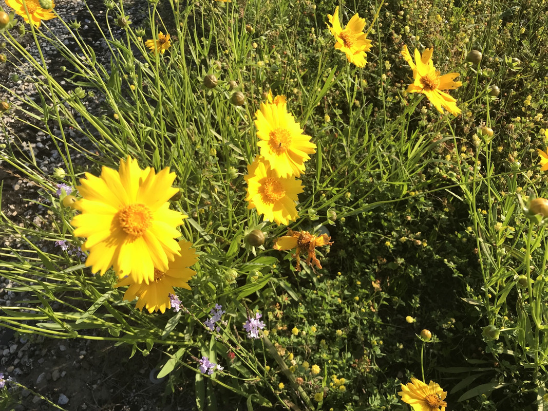 BC74A0D1-7A25-4F53-A329-91F8E93E20F1