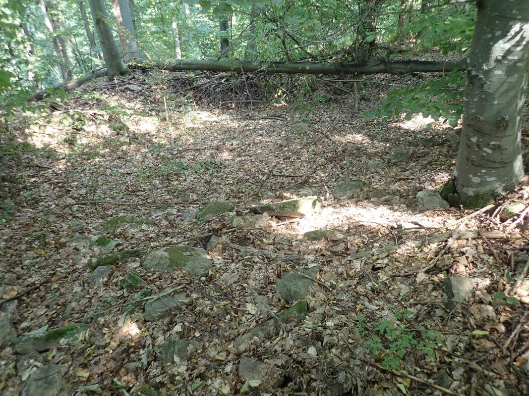 RUTIZAM SRBIJA - DragoševacJerinin grad (jagodinski) (13)