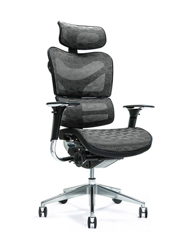 Ergo700