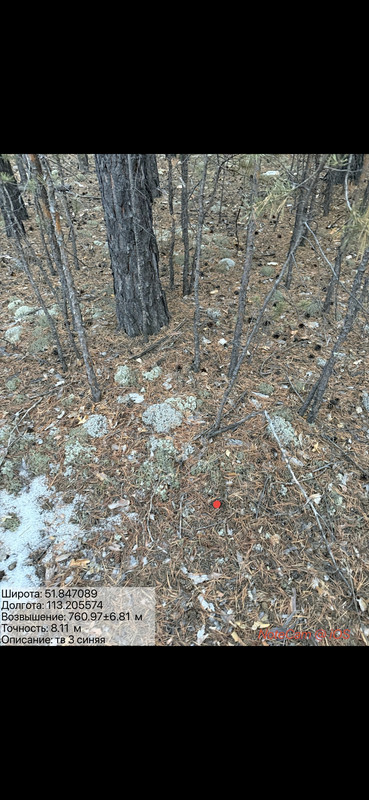 Screenshot 20260404 002244 Gallery