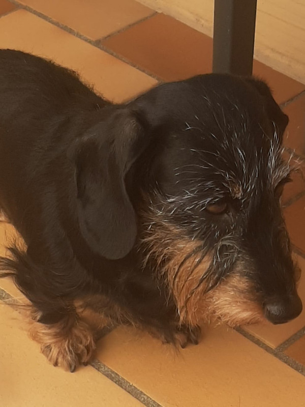 [Image: IMG-20250724-WA0004.jpg]