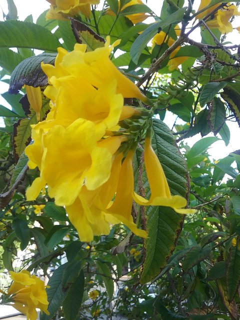 [Image: 20180614-175014.jpg]