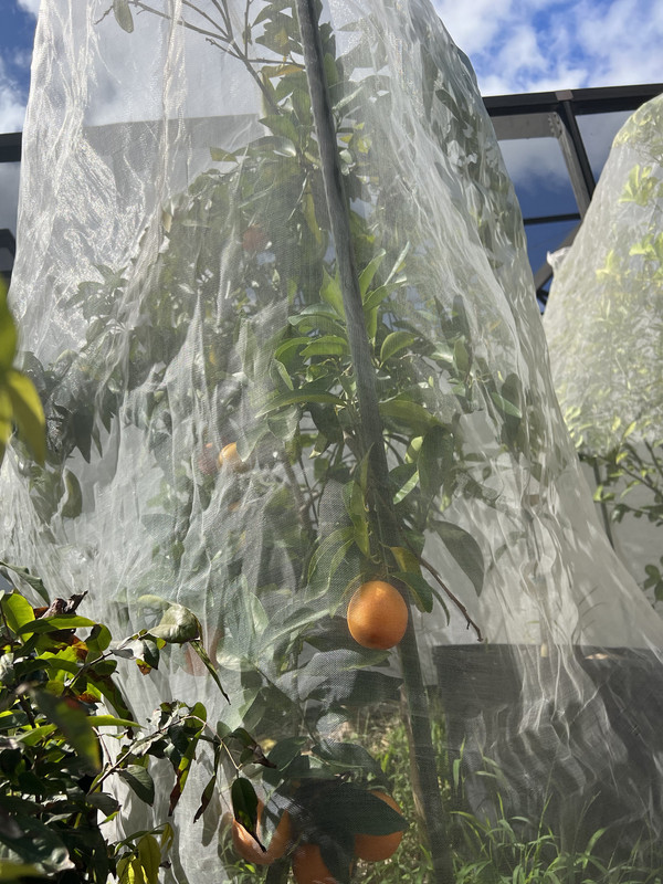 EE4CD79A-3D17-4AE1-94FD-2C254317F094