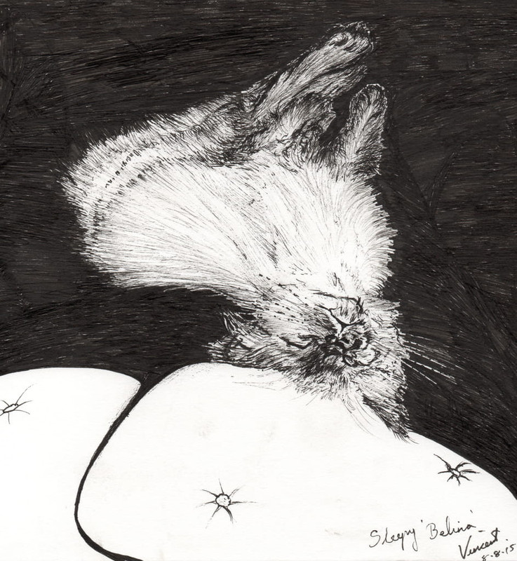 Vincent Alexander Booth - Sleepy Belina 2015 (ink on paper) - (MeisterDrucke-371517)