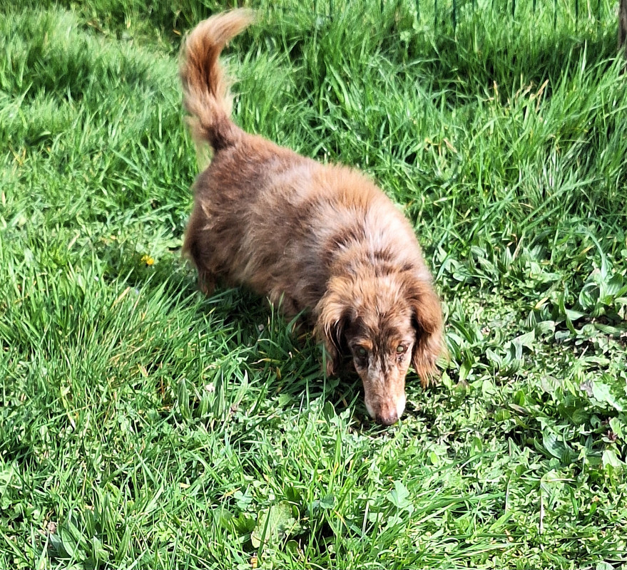 [Image: 20240316-115701.jpg]