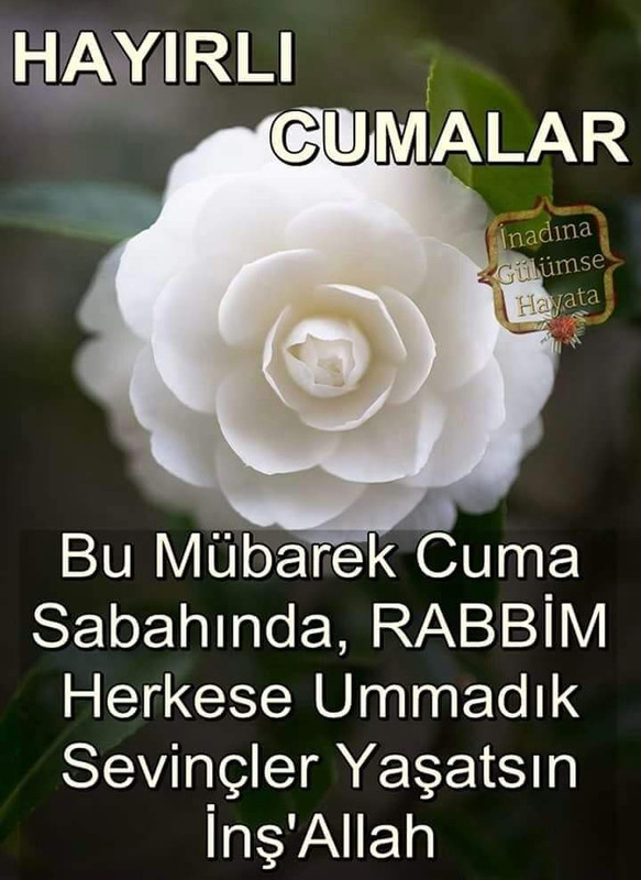 resim