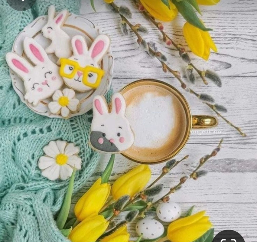 Screenshot_20240428_171136_Pinterest