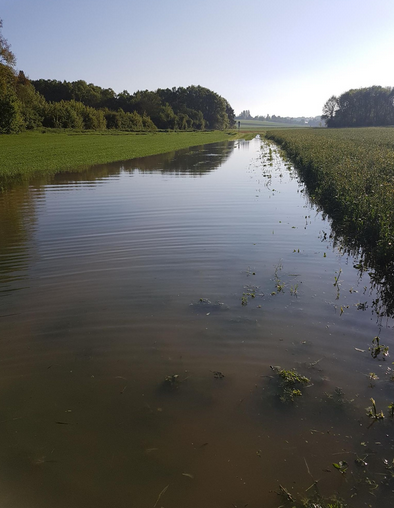 2019-05-13 17_15_35-LA MORMANTAISE en CX _ Sortie ? vélo _ Strav