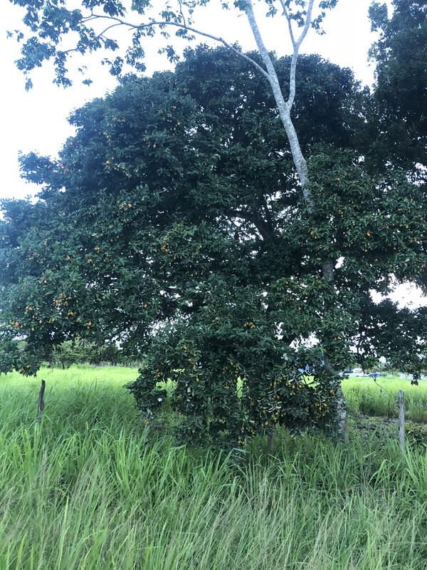 C4DAD7DB-53F0-4E23-9CF3-7CF210018C79