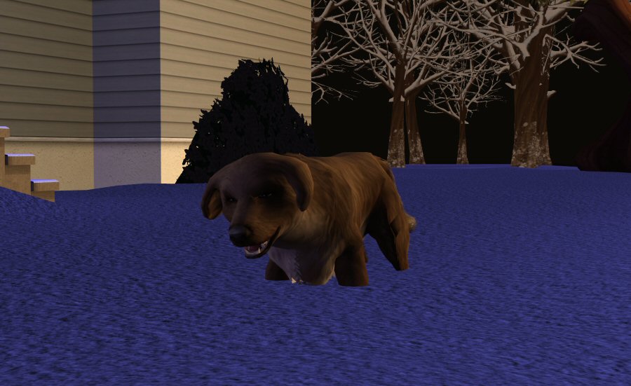 Sims2-EP9-2021-03-26-08-32-59-08