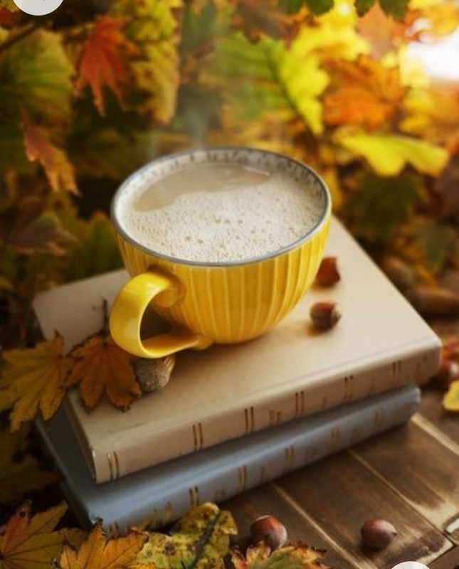 Screenshot_20221227_010518_Chrome