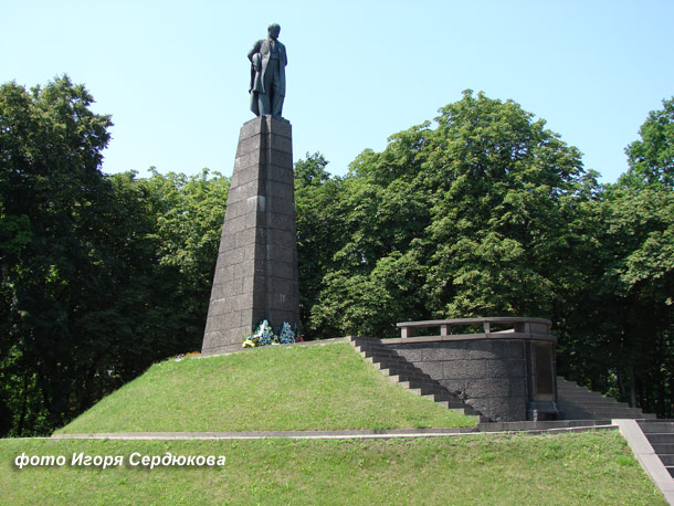 shevchenkotaras4