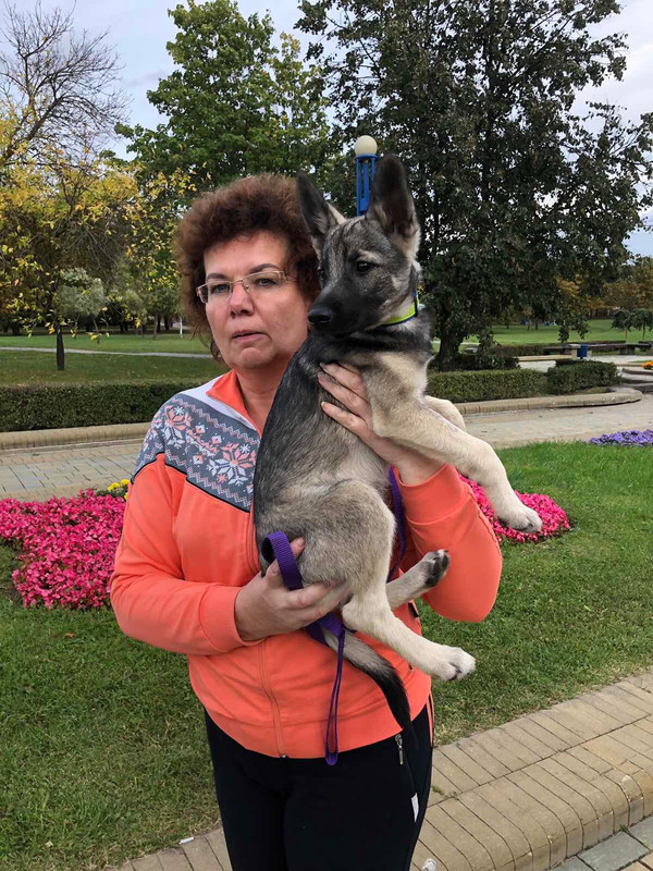 9305703D-99E3-4F1E-A272-72F80D0F53D3